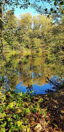 Plantsbrook Community Nature Park